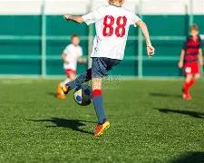 双色球秘籍,期独家定胆,解析,浙江体彩,浙江体彩网,浙江体彩网官网,体育彩票,体彩大乐透,竞彩足球,体彩公益