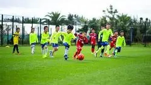 【梅春解码】双色球第2025140期精准预测：凤尾神选，锁定黄金组合24 & 32！