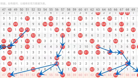 大乐透2026024期专家质合分析推荐