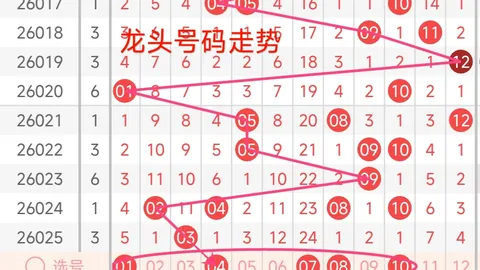 2026116期排列5走势分析及专家推荐