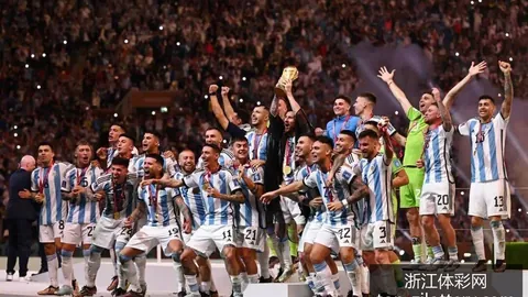 2026世界杯门票已正式开售，球迷可线上购买参与盛事