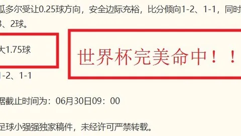 浙江体彩网